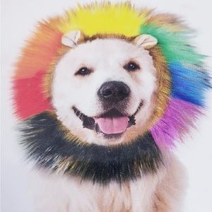 Dogs pride multicolored lion headwear